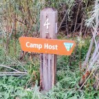 Campground Host