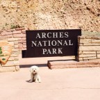 Arches National Park
