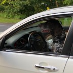 Shenandoah Creatures